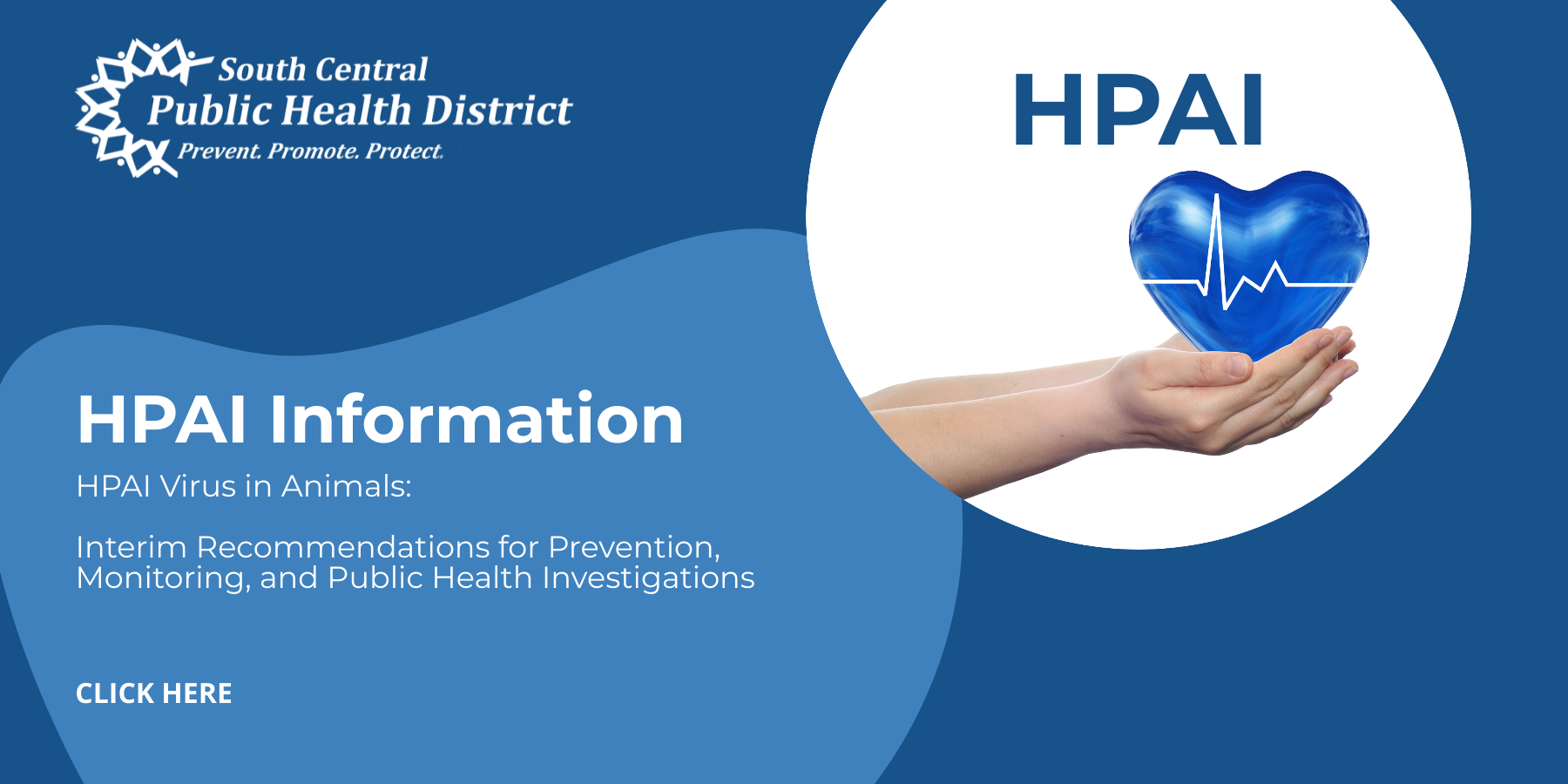 Slide linking to HPAI information