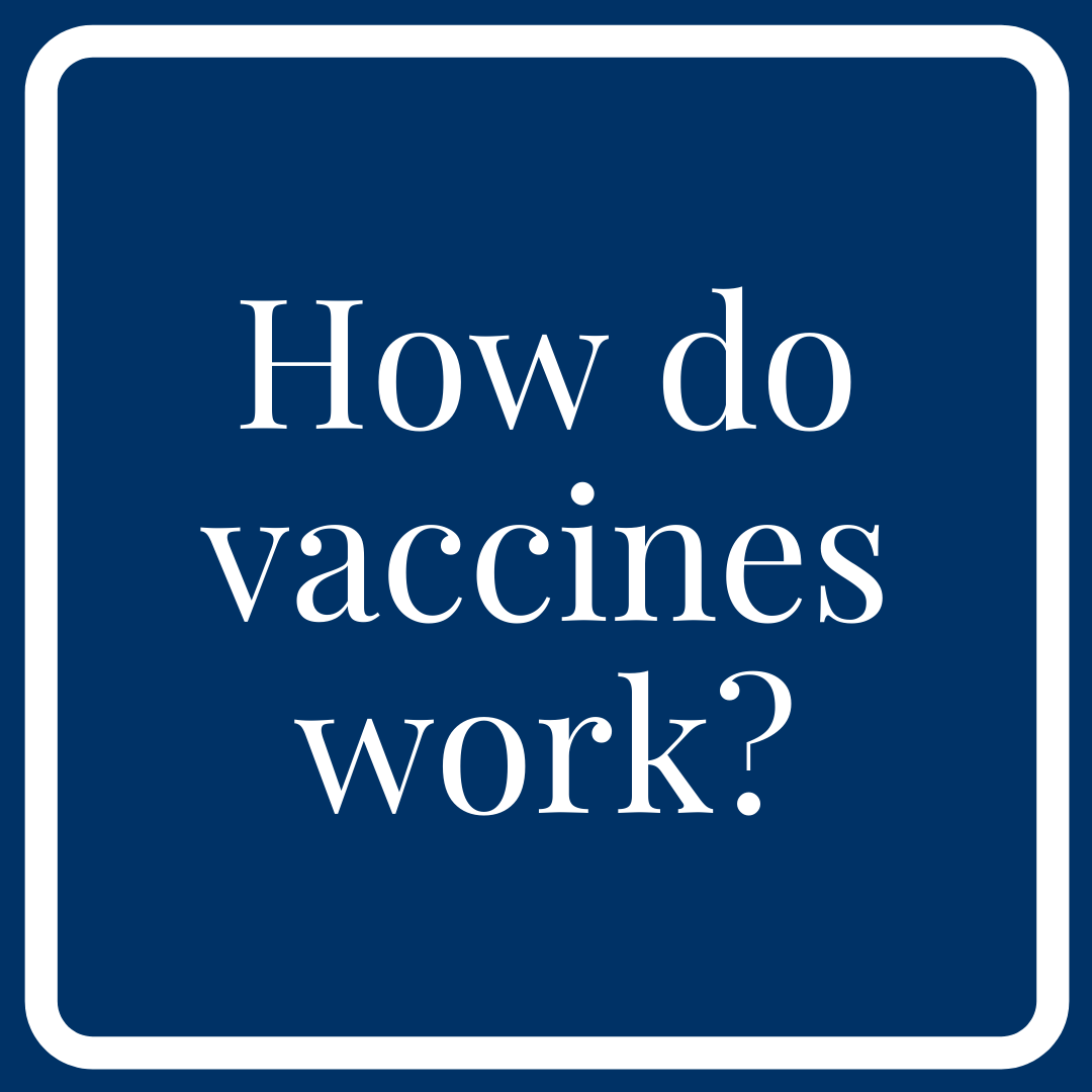 Link to video explaining how vaccines work