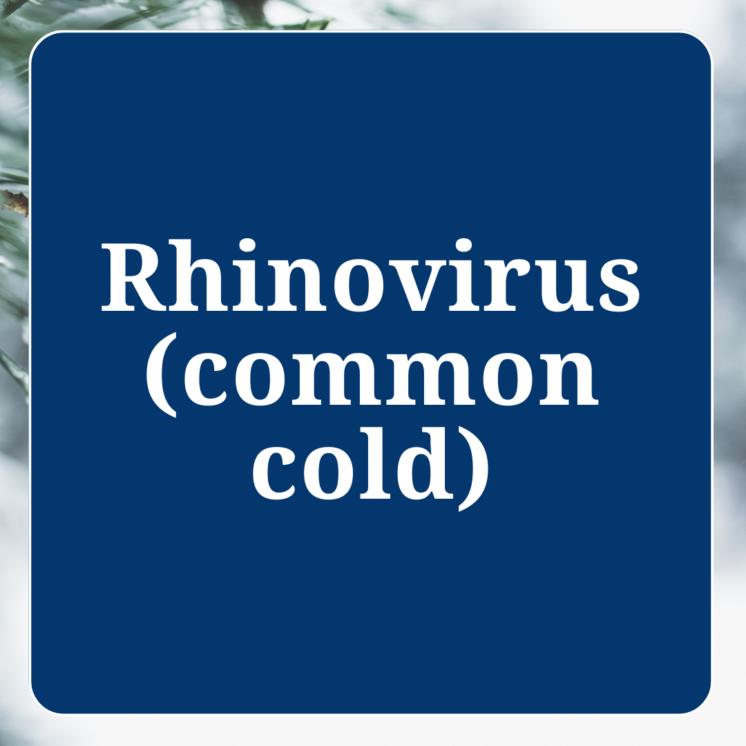 Common Cold information link